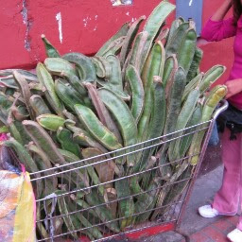 Meet your Posher, Mirna